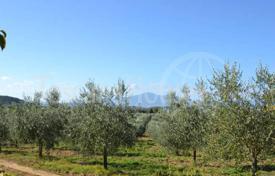 Arsa Pienza'da, İtalya. 1,900,000 €