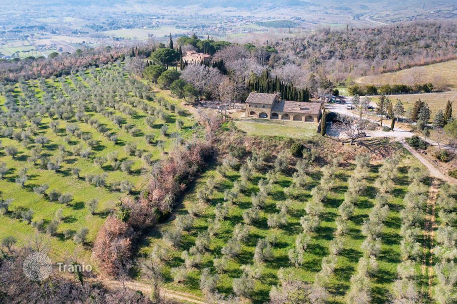 Gavorrano'da satılık üzüm bağı 2,700,000 €'a, ilan #2088430 – Tranio